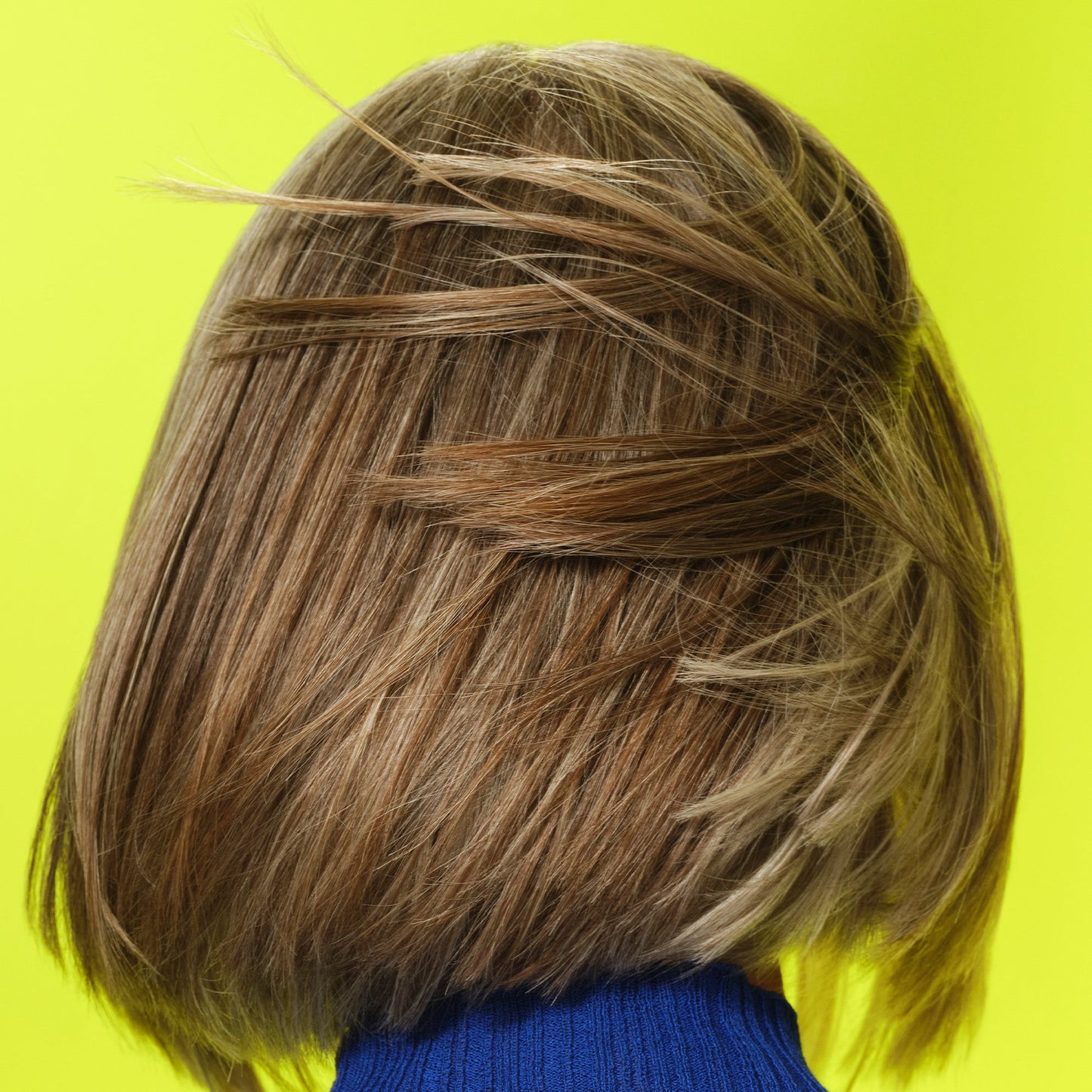 frizz-to-rizz-trio-w3 111725_Vicky_HumidityAntifrizz-Editorial_0538_w2QC_IGF_1x1_05a09617-4ccf-44a2-8545-199321a503e1.jpg