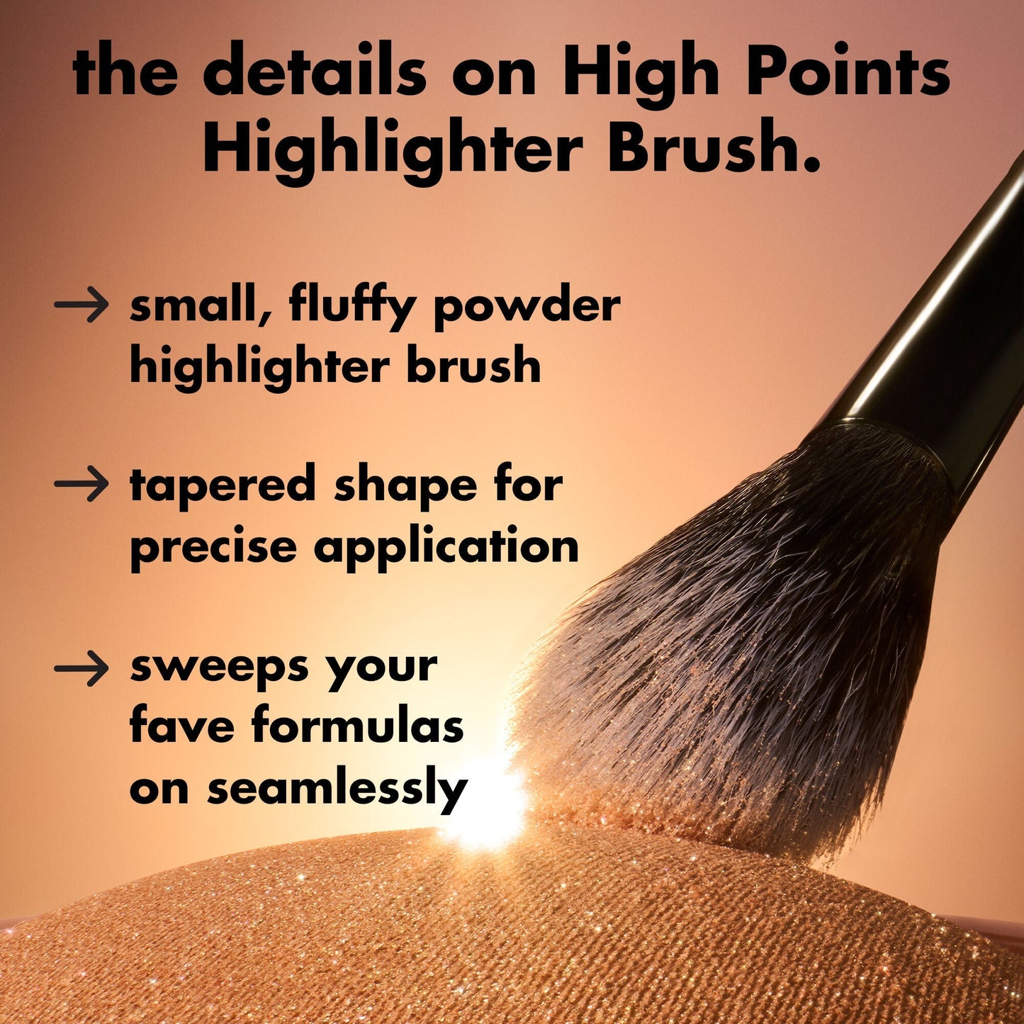 high-points-highlighter-brush-r4 0226_EDU_HighpointsHighlighterBrush_Details.jpg