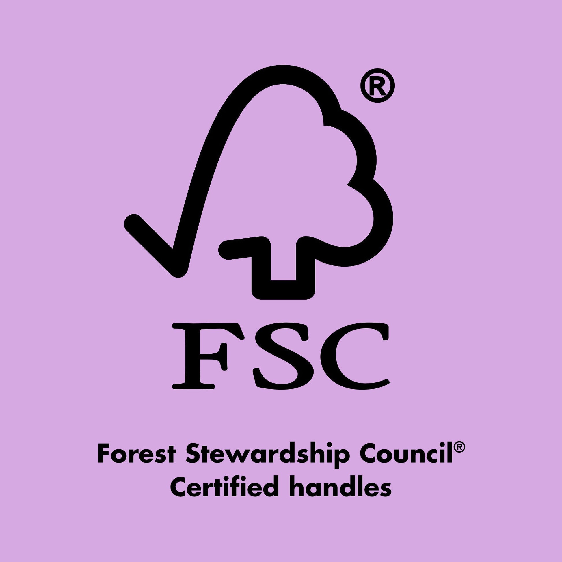 ten-out-of-ten-brush-kit-v1 0423_EDUCATION_FSC_EVERGREEN.jpg
