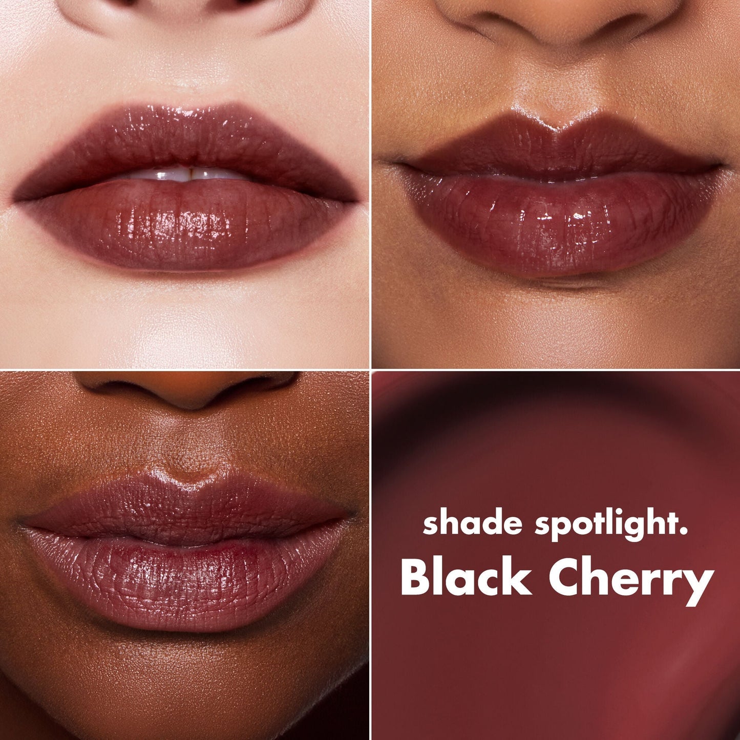 lip-lacquer-n5 0426_EDU_LipLaquer_ShadeChart_BlackCherry.jpg