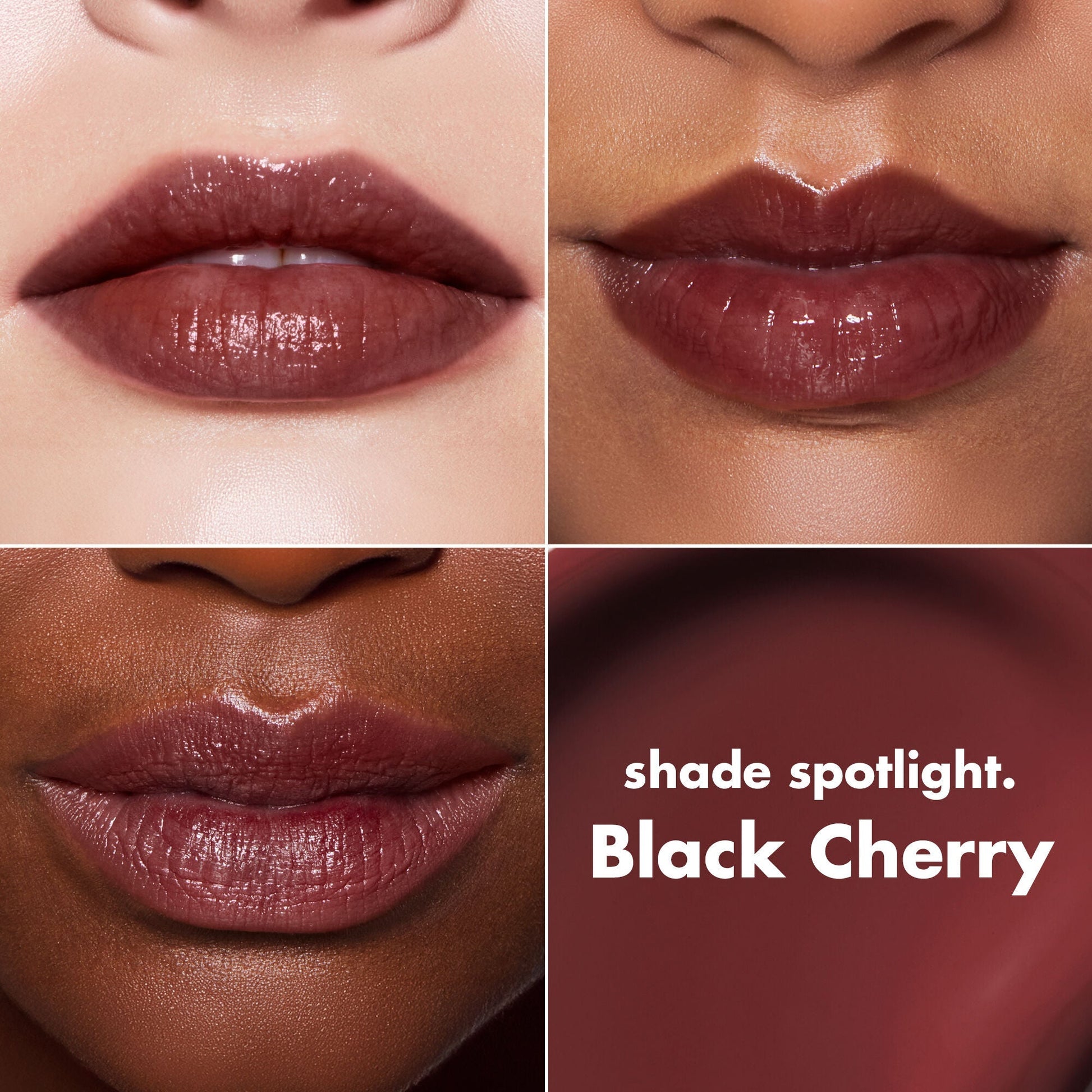 lip-lacquer-n5 0426_EDU_LipLaquer_ShadeChart_BlackCherry.jpg