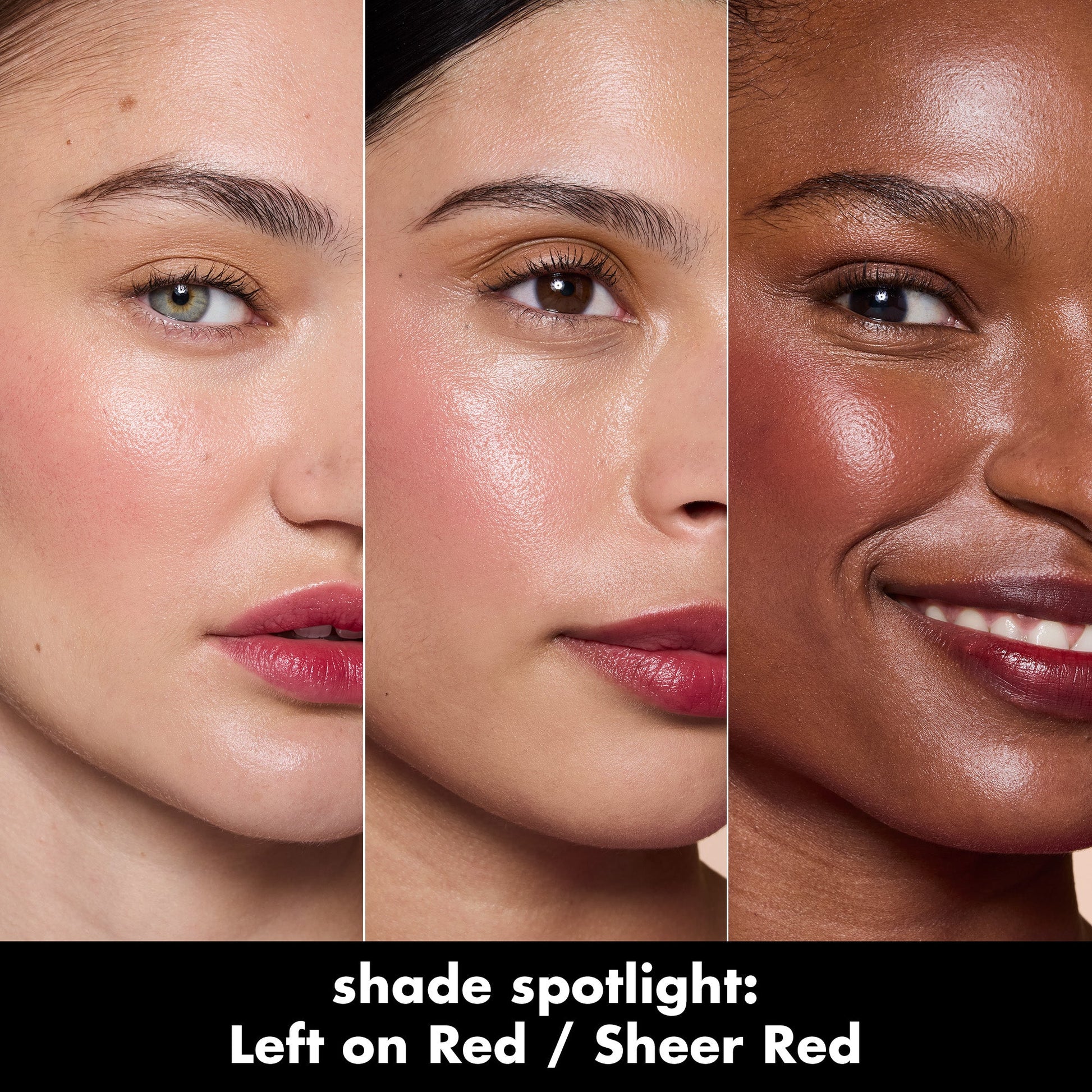 sheer-for-it-blush-tint-n6 0526_SEO_SheerForIt_ShadeSpotlight_LeftOnRed.jpg