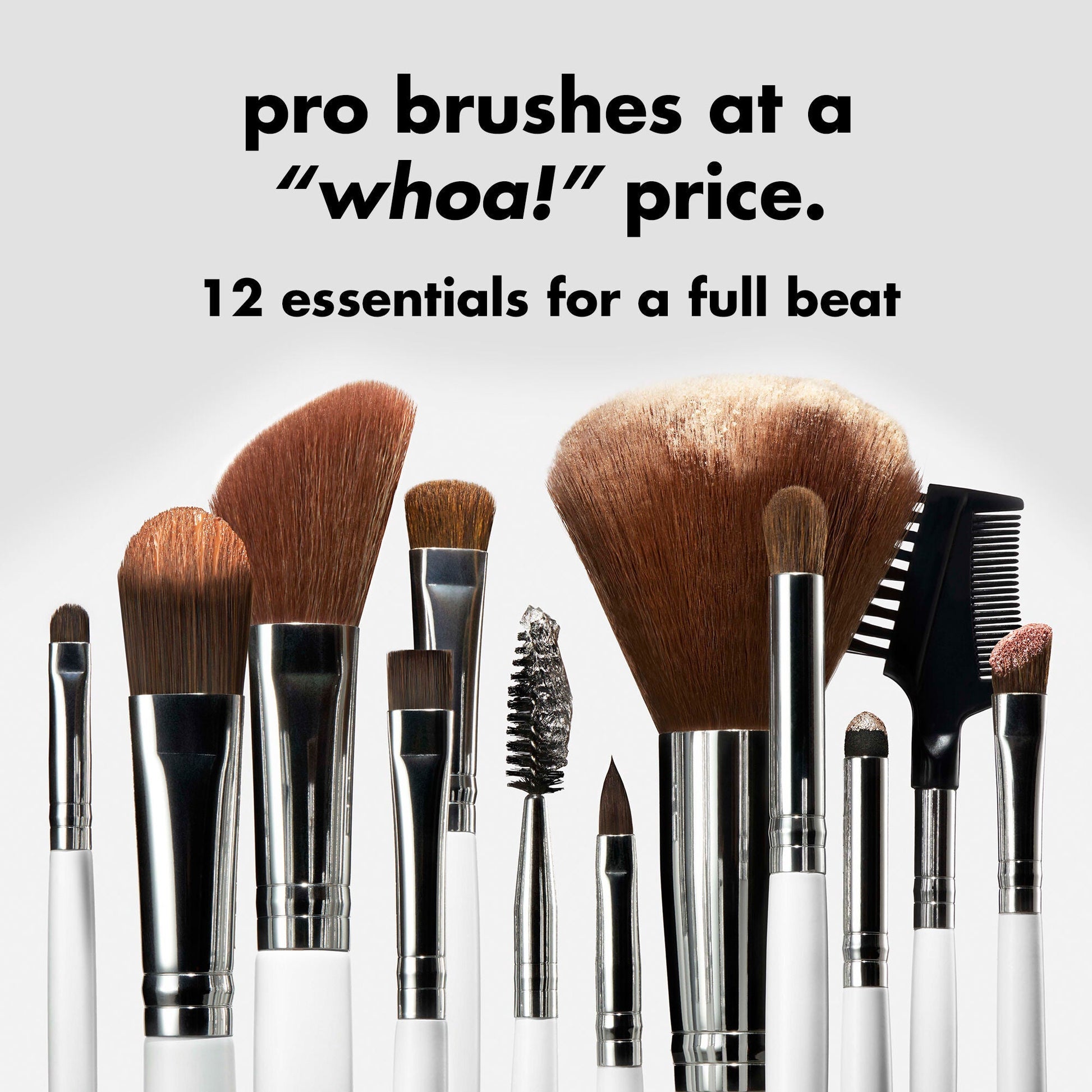 professional-set-of-12-makeup-brushes-a5 0823_PDP_BRUSHES_12-PIECE_SET_PRODUCT.jpg
