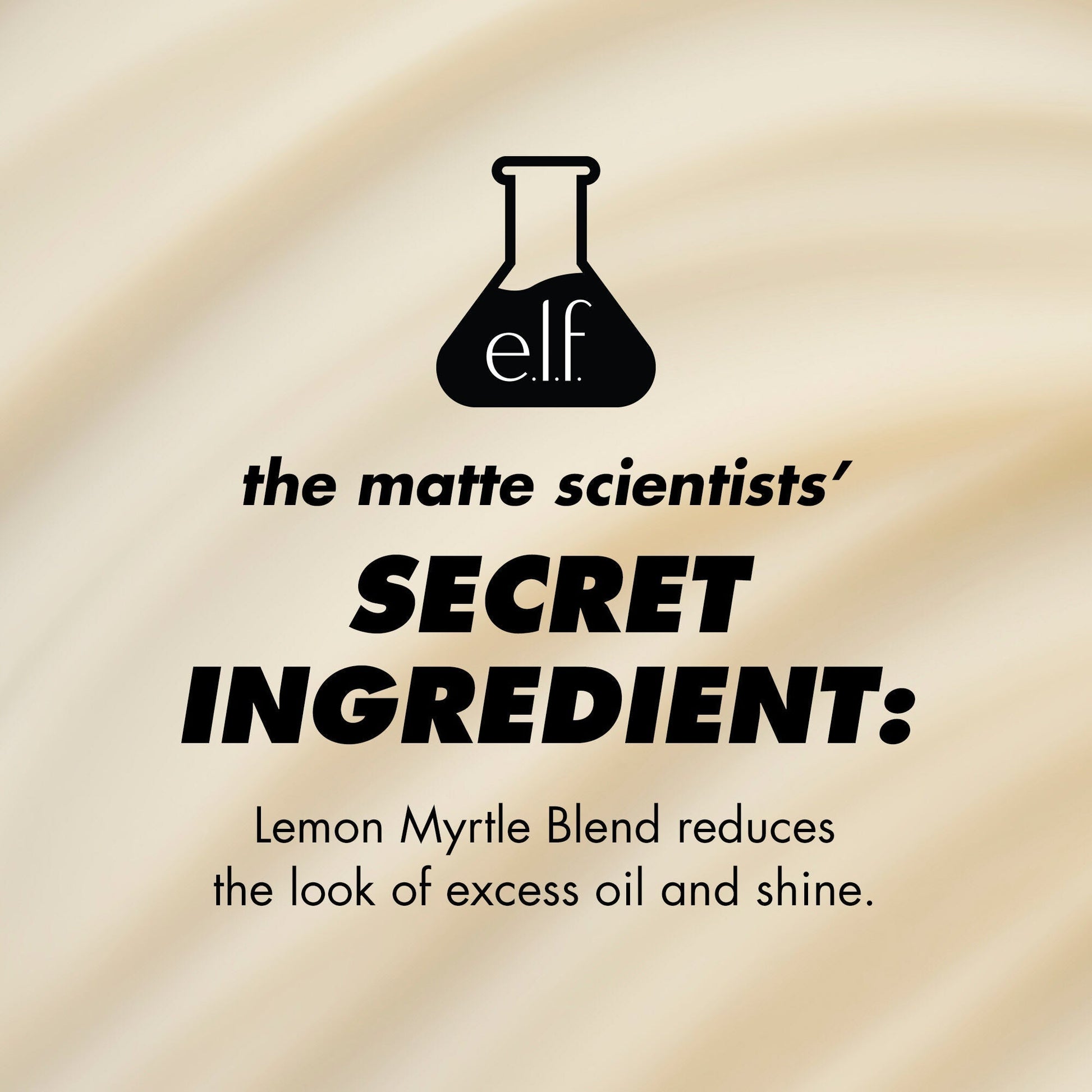 power-grip-matte-primer-e6 1224_EDUCATION_PGMATTE_INGREDIENT_b9de063f-aeb5-403f-9709-c3cafbf9c9d1.jpg