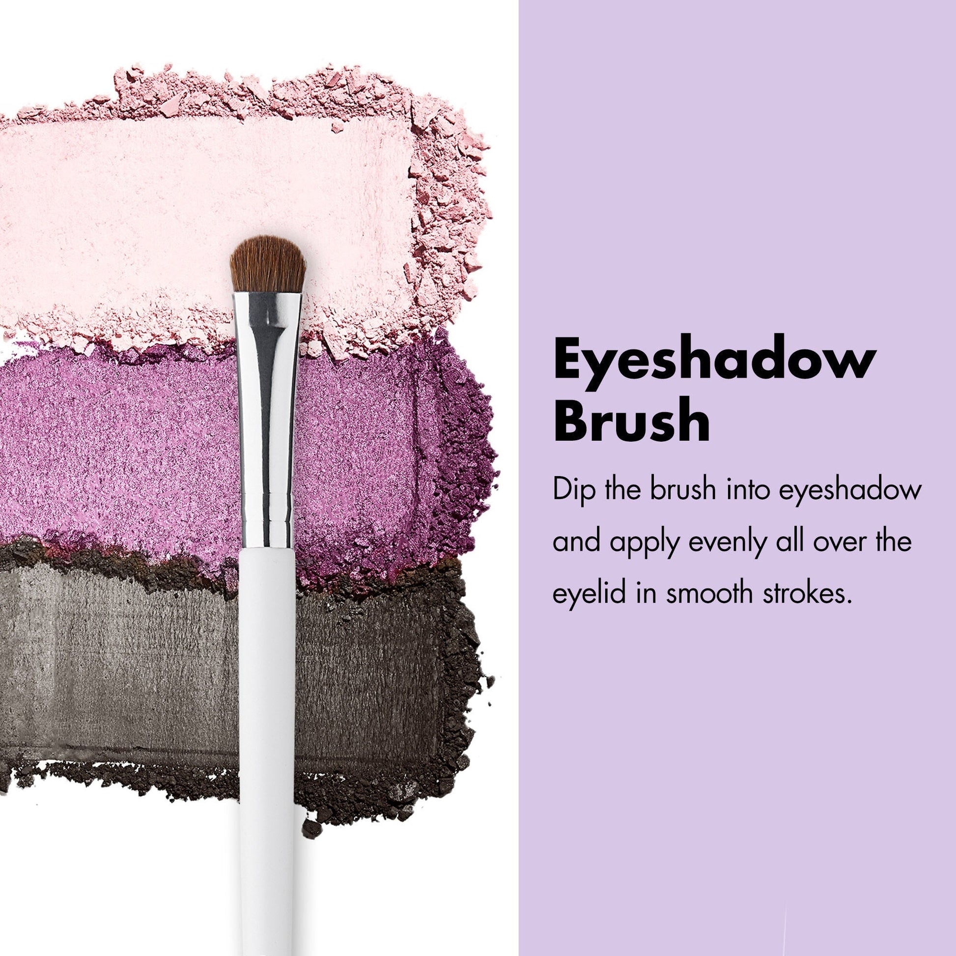 professional-set-of-12-makeup-brushes-a5 ProfessionalBrushes_Eye_EyeshadowBrush_PDP_Edu_2000x2000_2418e3b8-bb65-4e6d-af53-e6d0aab002ae.jpg